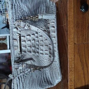 purse Brahmin